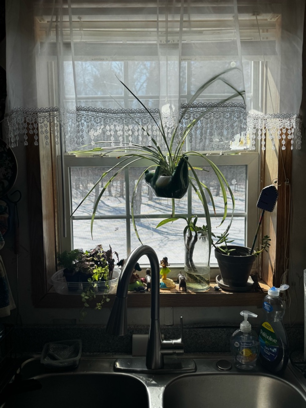Curtains - Picture 3 of 3